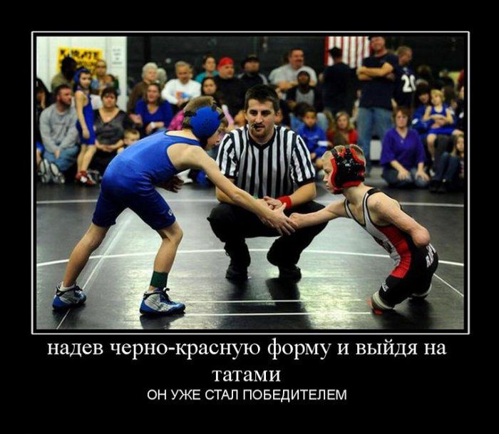 Демотиваторы приколы