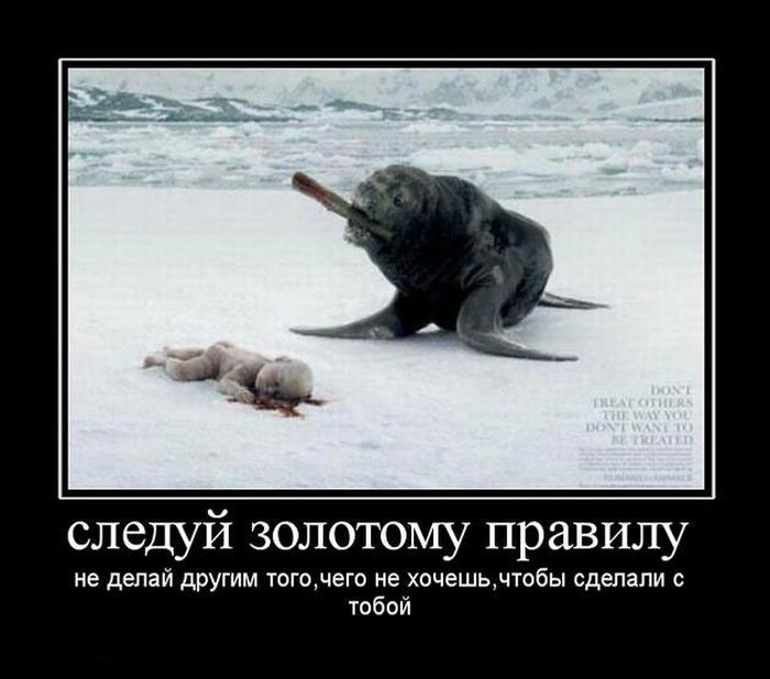 Демотиваторы приколы