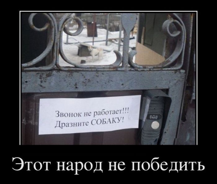 Демотиваторы приколы