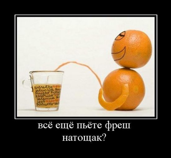 Демотиваторы приколы