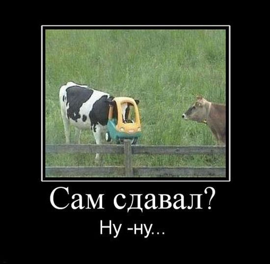 Демотиваторы приколы
