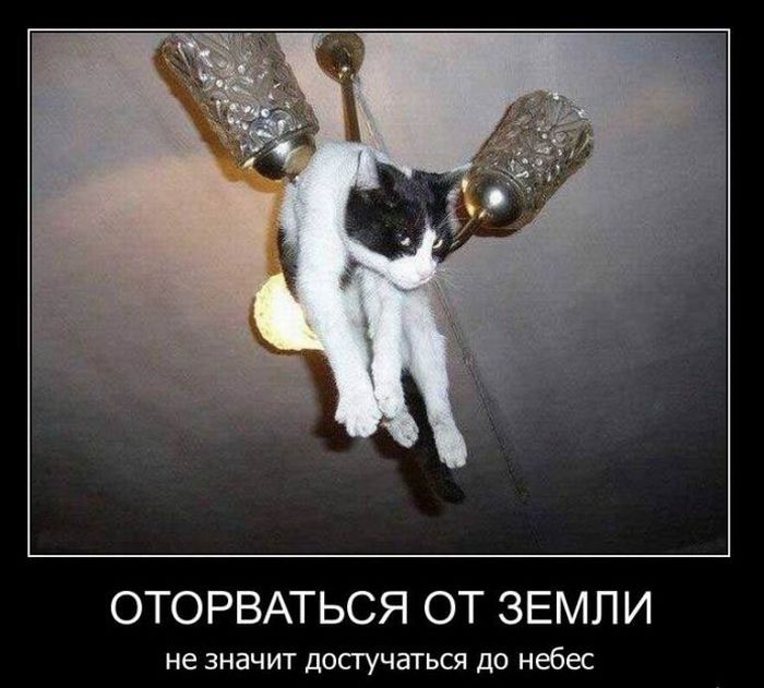 Демотиваторы приколы