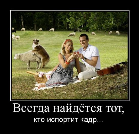 Демотиваторы приколы