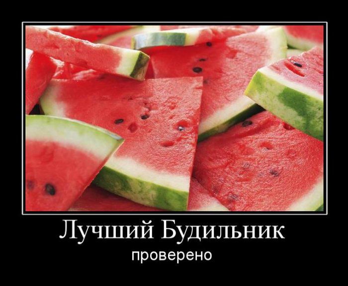 Демотиваторы приколы