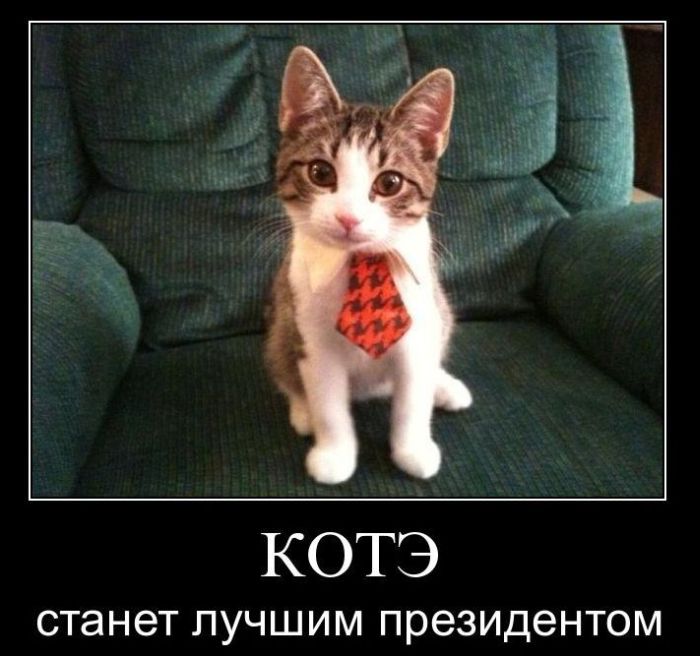 Демотиваторы приколы