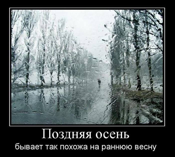 Демотиваторы приколы