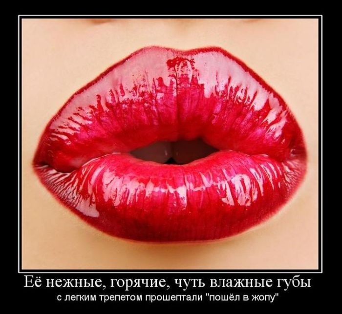 Демотиваторы приколы