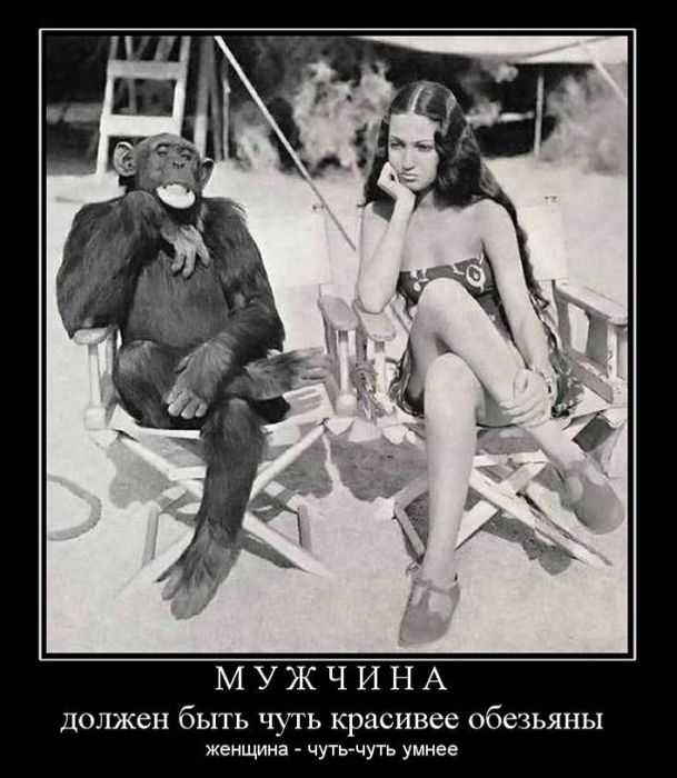 Демотиваторы приколы