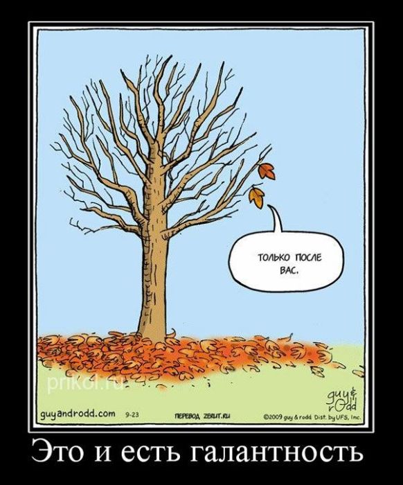 Демотиваторы приколы