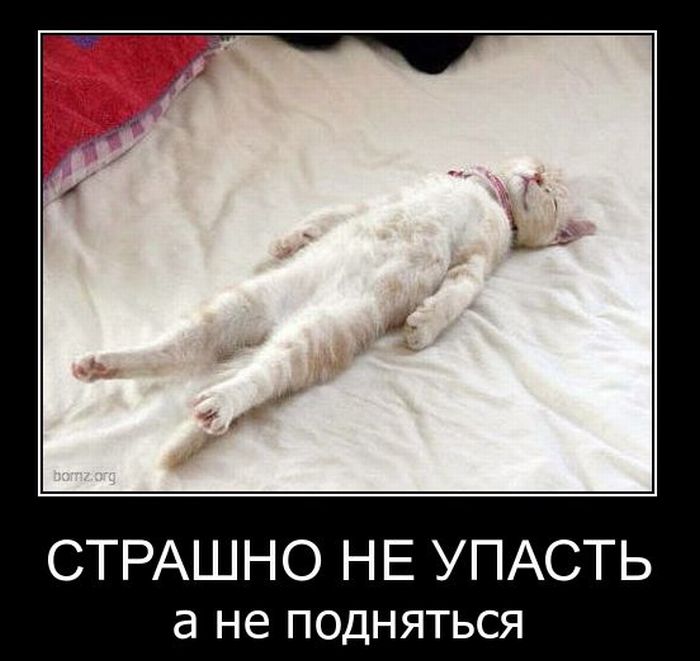 Демотиваторы приколы