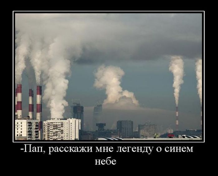 Демотиваторы приколы