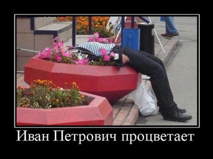 Демотиваторы приколы