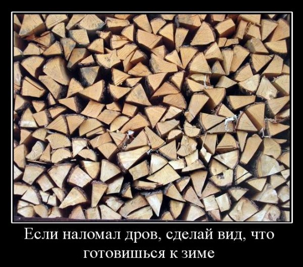 Демотиваторы приколы