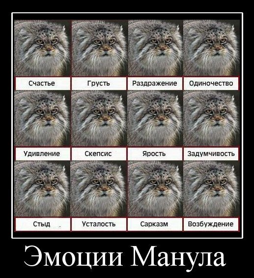 Демотиваторы приколы