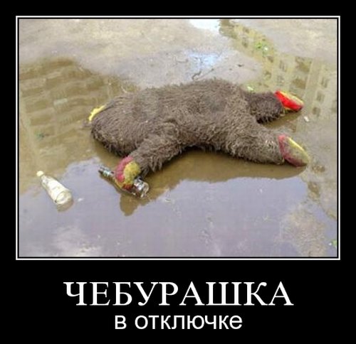 Демотиваторы приколы