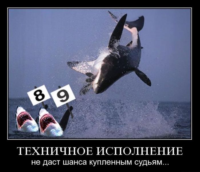 Демотиваторы приколы