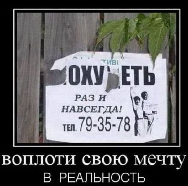 Демотиваторы приколы