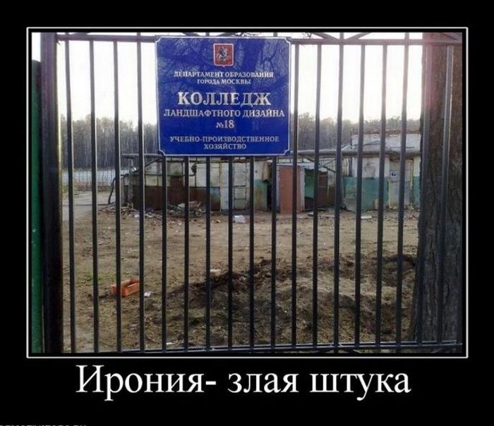 Демотиваторы приколы