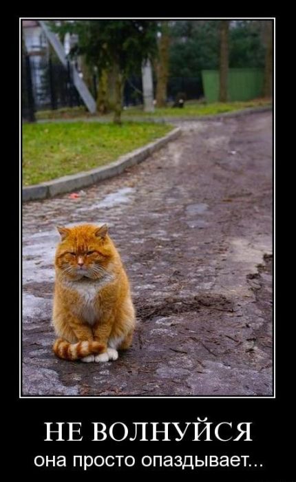 Демотиваторы приколы