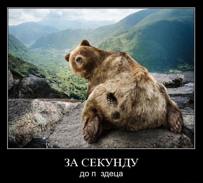 Демотиваторы приколы