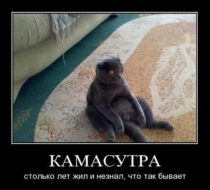 Демотиваторы приколы