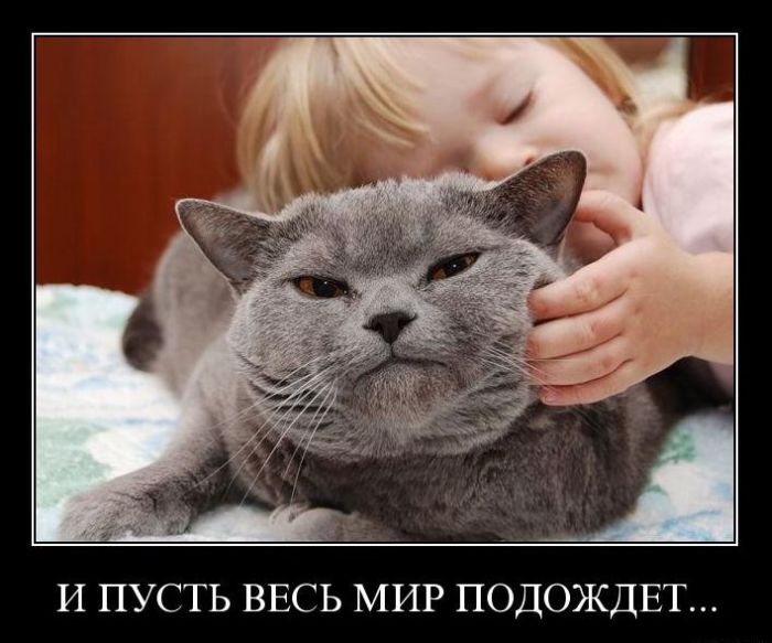 Демотиваторы приколы