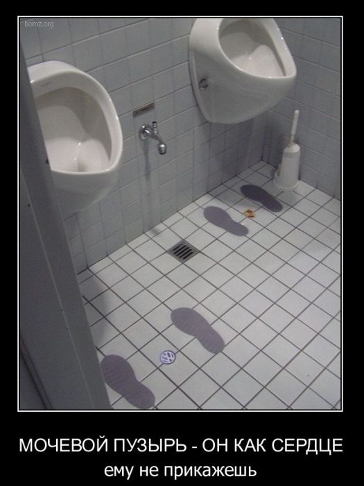 Демотиваторы приколы