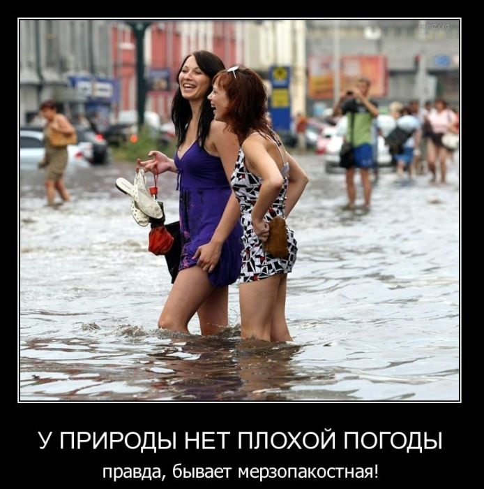 Демотиваторы приколы