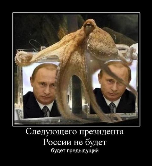 Демотиваторы приколы