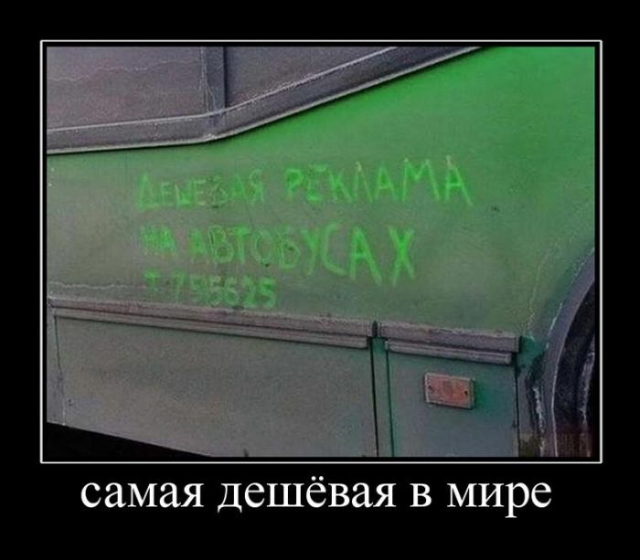 Демотиваторы приколы