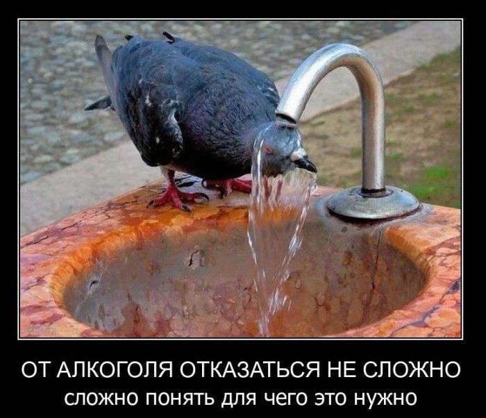 Демотиваторы приколы