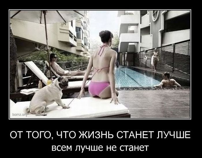 Демотиваторы приколы