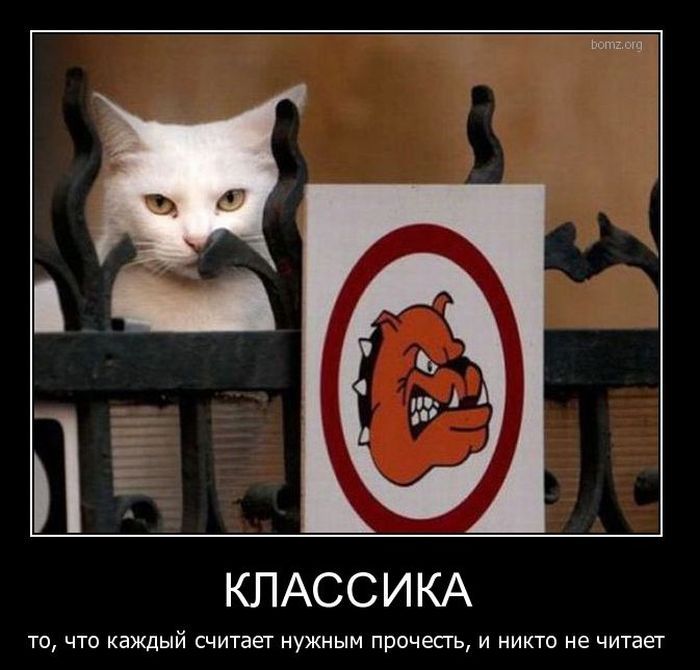 Демотиваторы приколы