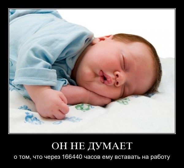 Демотиваторы приколы