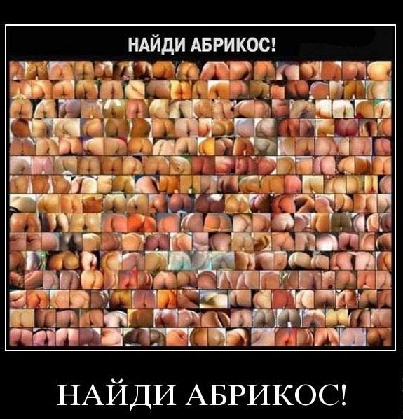 Демотиваторы приколы