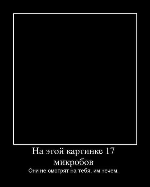 Демотиваторы приколы