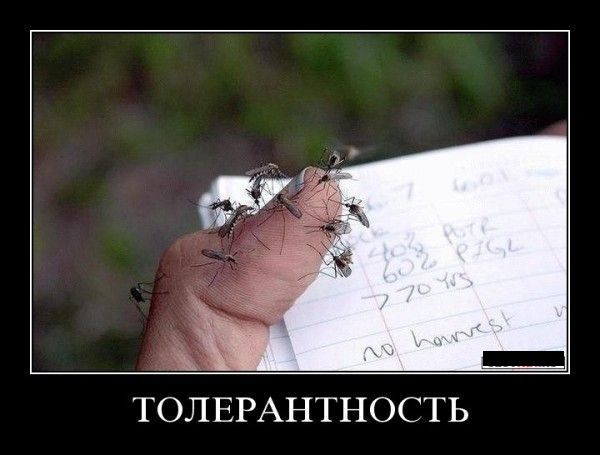 Демотиваторы приколы