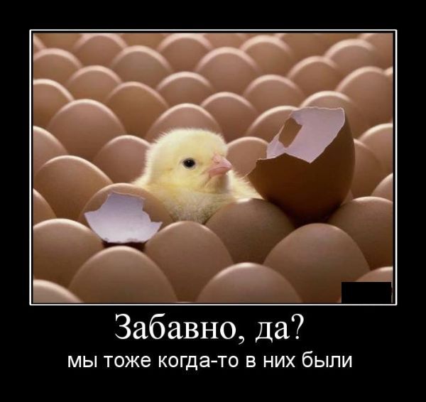 Демотиваторы приколы