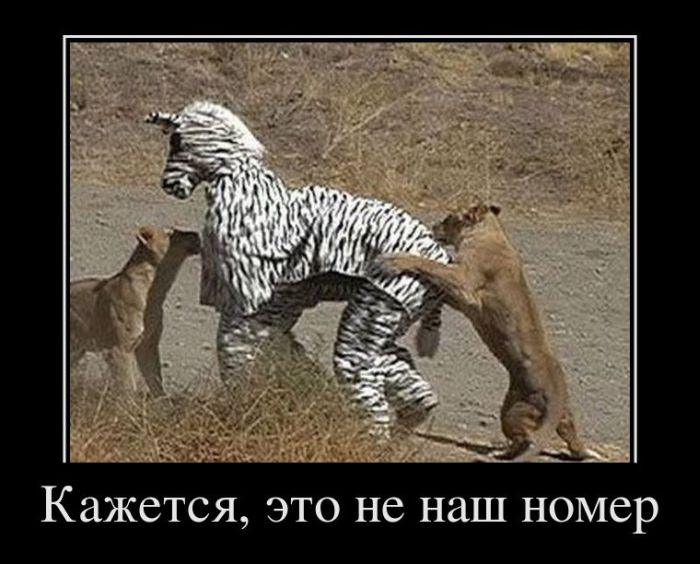 Демотиваторы приколы