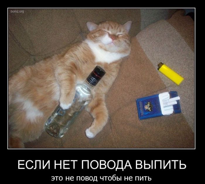 Демотиваторы приколы