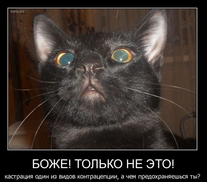 Демотиваторы приколы