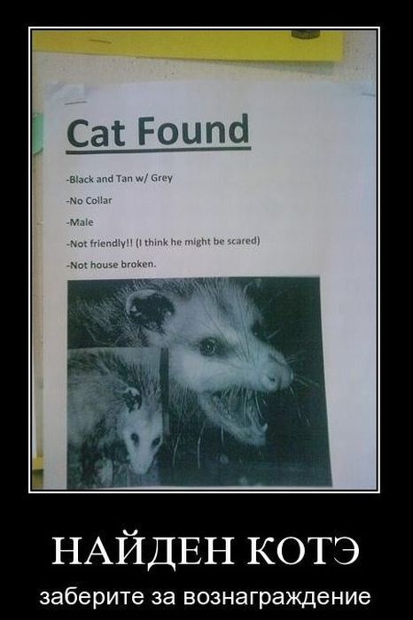 Демотиваторы приколы