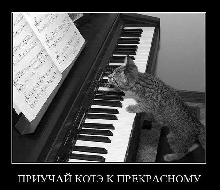 Демотиваторы приколы