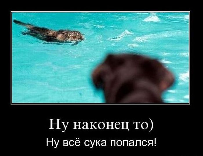 Демотиваторы приколы