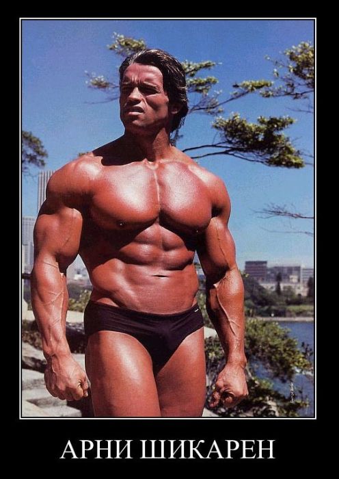 Демотиваторы приколы