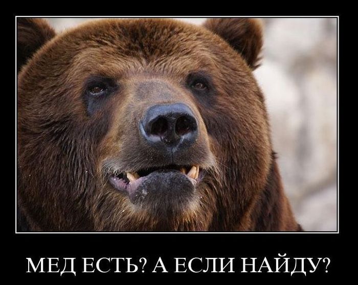 Демотиваторы приколы