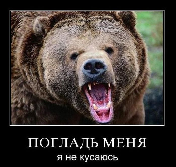 Демотиваторы приколы