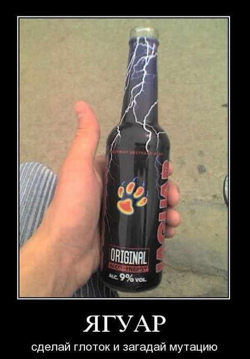 Демотиваторы приколы