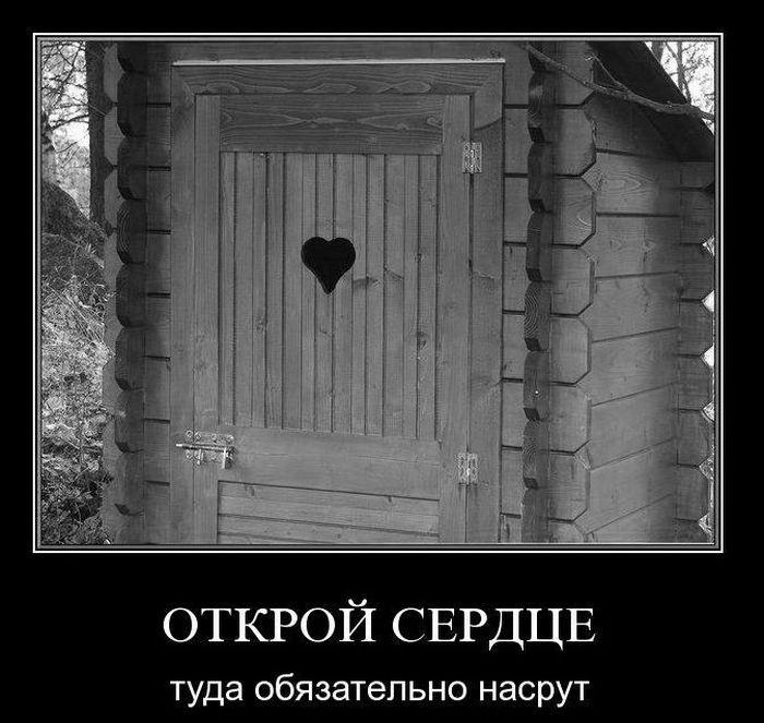 Демотиваторы приколы