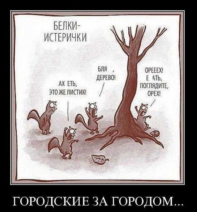 Демотиваторы приколы